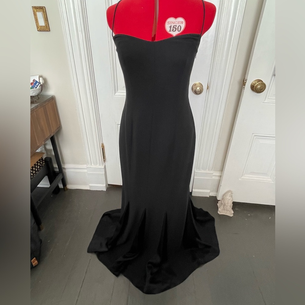 Andrea Polizzin for Rex Lester gown. 10